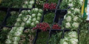 Verduleria El Cruce 7