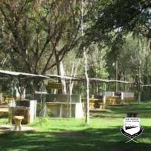 Xr:d:DAE7G6Tad1o:282,j:5388977226477109232,t:24030104