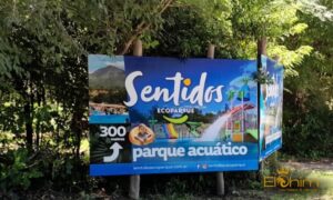 Elohim Carteles Y Diseño (22)