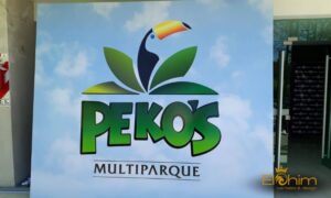 Elohim Carteles Y Diseño (3)