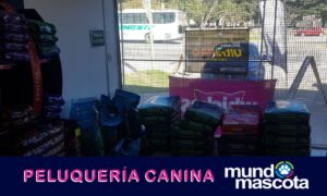 Mundo Mascota (2)