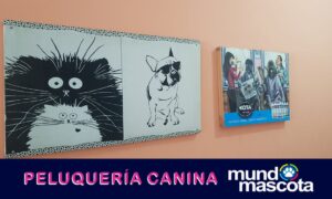 Mundo Mascota (3)