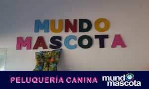 Mundo Mascota