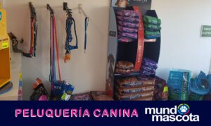 Mundo Mascota (6)