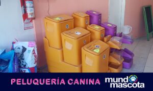 Mundo Mascota (7)