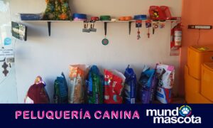 Mundo Mascota (8)