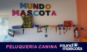 Mundo Mascota (9)