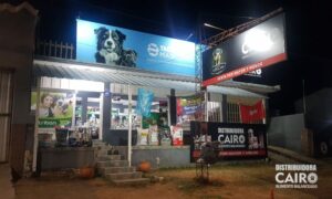 Distribuidora Cairo (10)