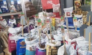 Distribuidora Cairo (2)