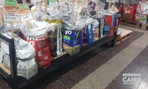 Distribuidora Cairo (4)