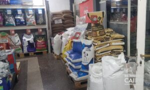 Distribuidora Cairo (5)