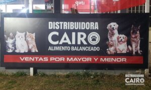 Distribuidora Cairo (8)