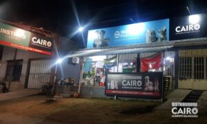 Distribuidora Cairo (9)