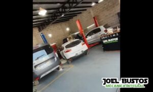 Joel Bustos Mecanica Integral