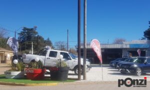 Ponzi Automotores (4)