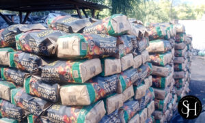 Distribuidora Suncho Huayco (4)