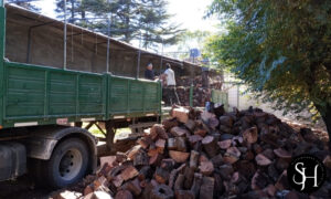 Distribuidora Suncho Huayco (5)