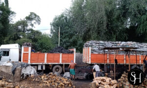 Distribuidora Suncho Huayco (6)