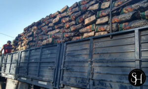 Distribuidora Suncho Huayco (7)