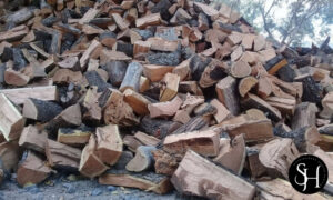 Distribuidora Suncho Huayco (8)