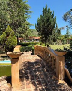 491440296 18347555806159813 6482978979861920937 N